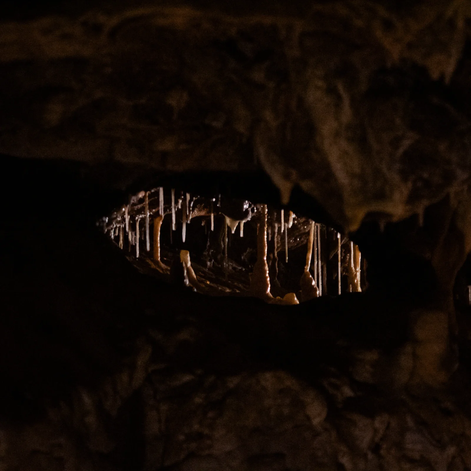 nature photography by JRMGraphy